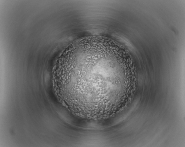 X0000114160365200910151612