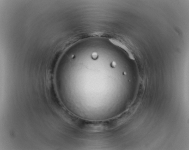 X0000114160366200910151612