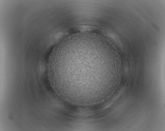 X0000114160367200910151612