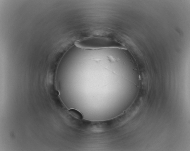 X0000114160368200910151612