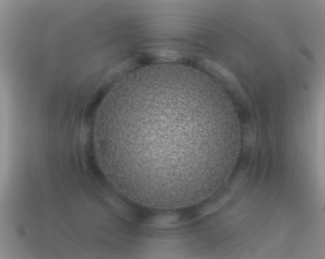 X0000114160369200910151612