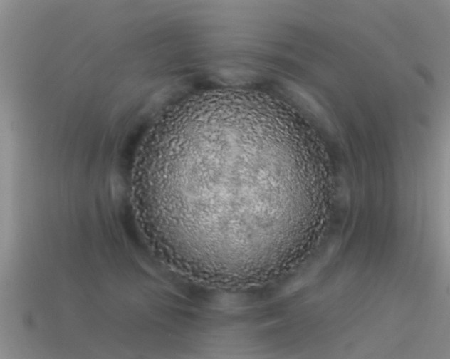 X0000114160371200910151612