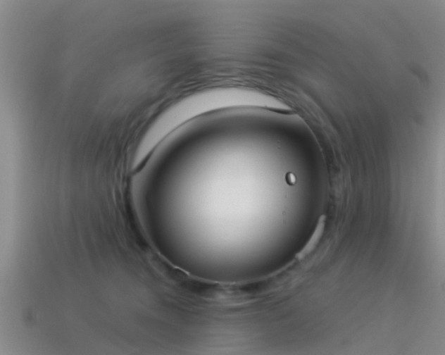 X0000114160372200910151612