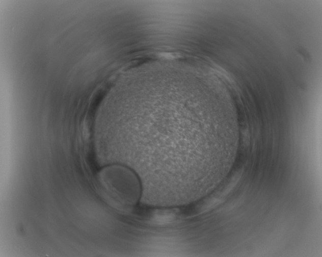 X0000114160373200910151612