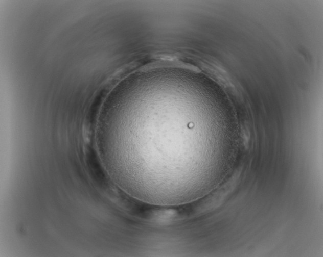 X0000114160374200910151612