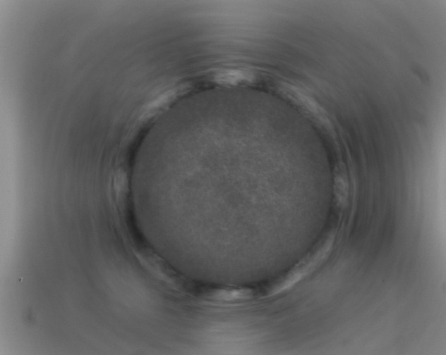 X0000114160375200910151612