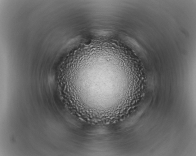 X0000114160377200910151612