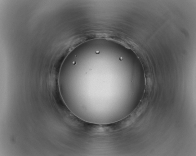 X0000114160379200910151612