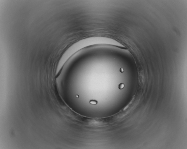 X0000114160380200910151612