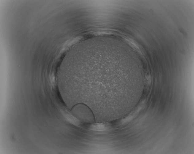 X0000114160381200910151612