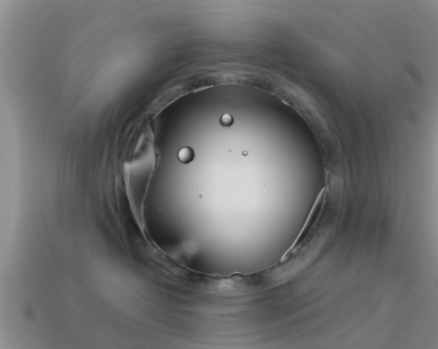 X0000114160382200910151612