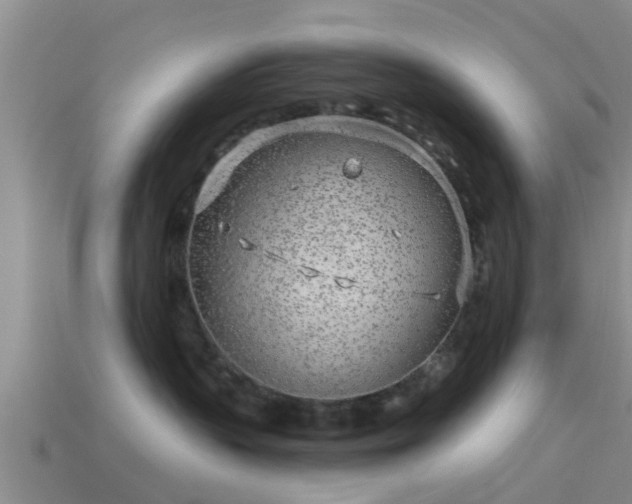 X0000114160383200910151612