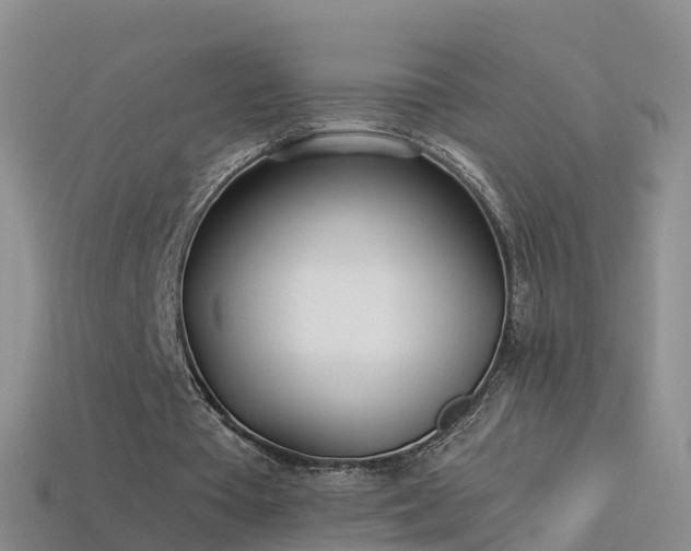 X0000114160385200910151612