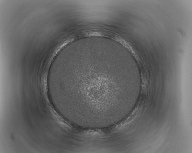 X0000114160386200910151611