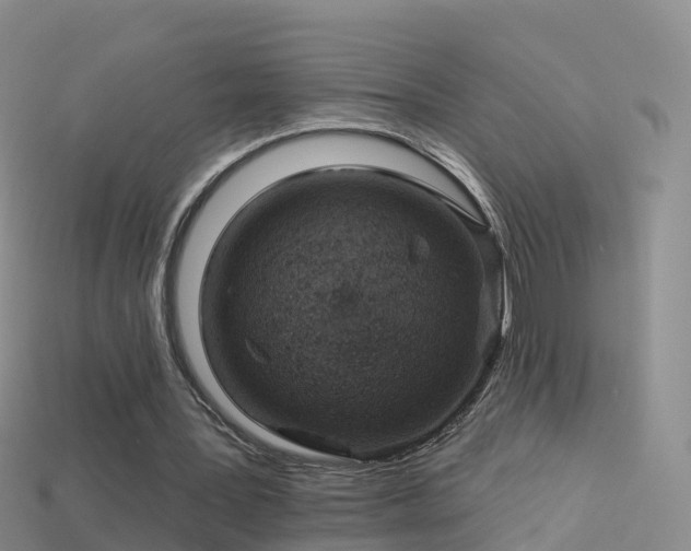 X0000114160387200910151611