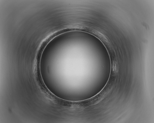 X0000114160388200910151611