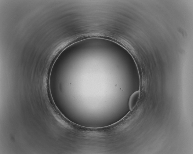 X0000114160389200910151611