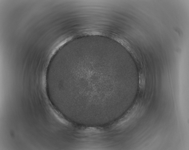 X0000114160390200910151611