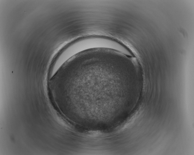 X0000114160391200910151611