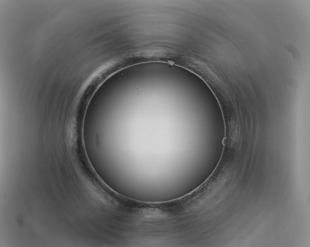 X0000114160392200910151611