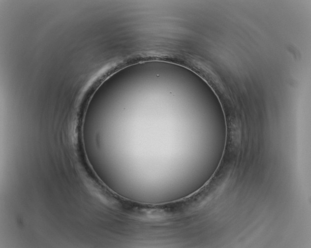 X0000114160395200910151611