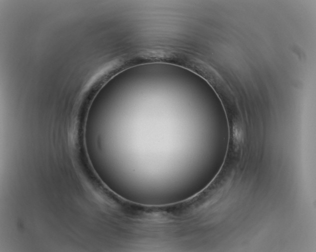 X0000114160396200910151611