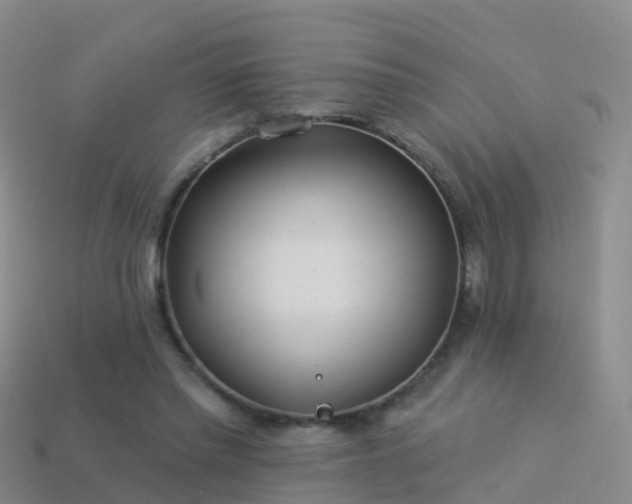 X0000114160397200910151611