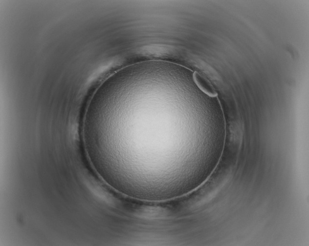 X0000114160399200910151611