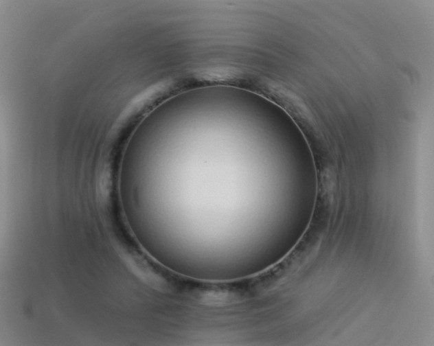 X0000114160400200910151611