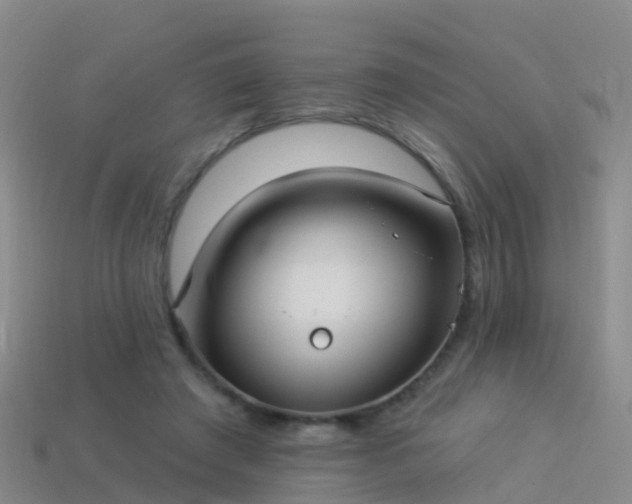 X0000114160401200910151611