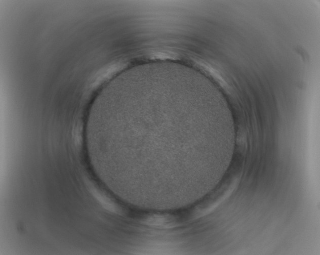 X0000114160402200910151611