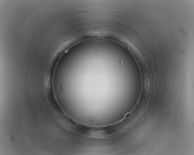 X0000114160403200910151611