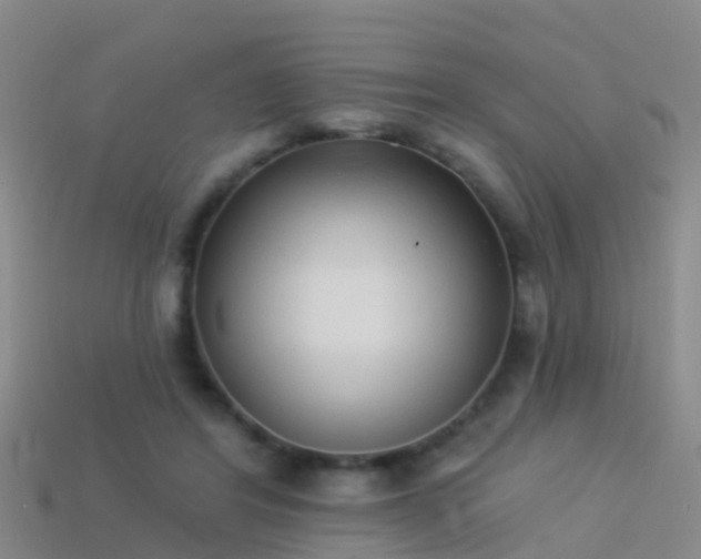 X0000114160404200910151611