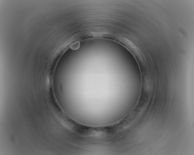 X0000114160405200910151611