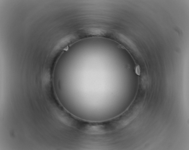 X0000114160407200910151611