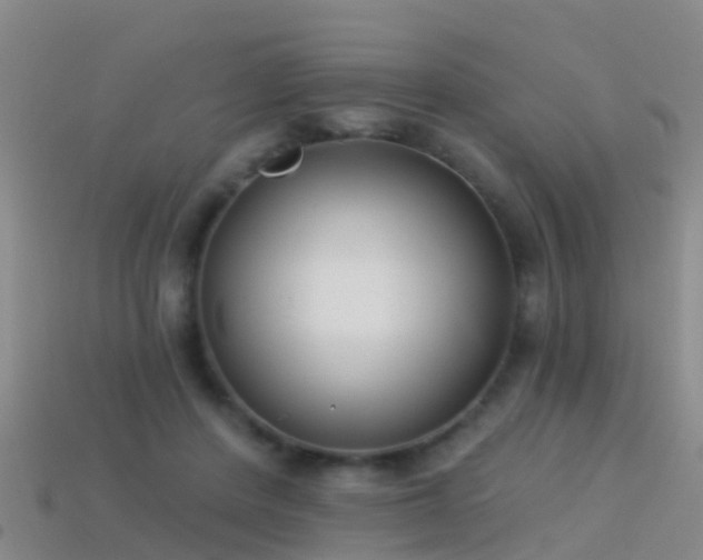 X0000114160408200910151611