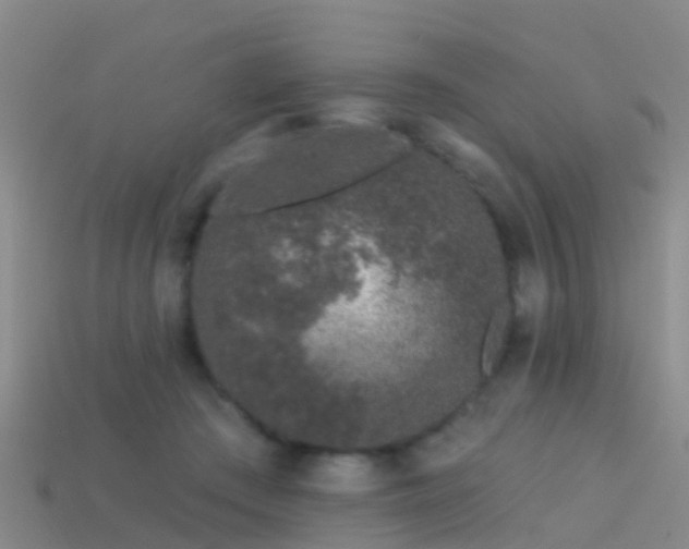 X0000114160409200910151611