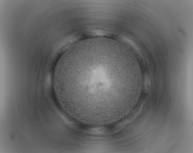 X0000114160410200910151611