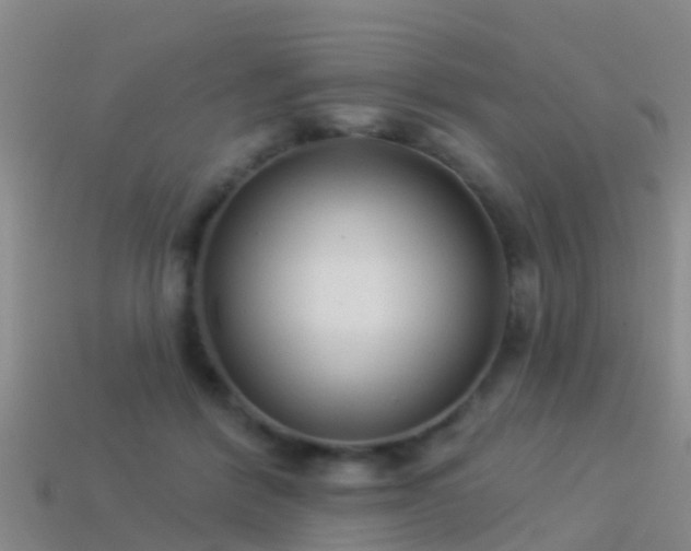 X0000114160412200910151611