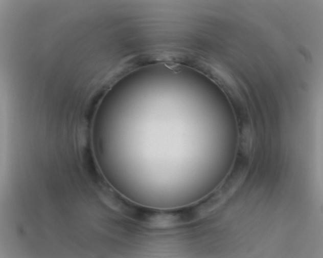 X0000114160413200910151611