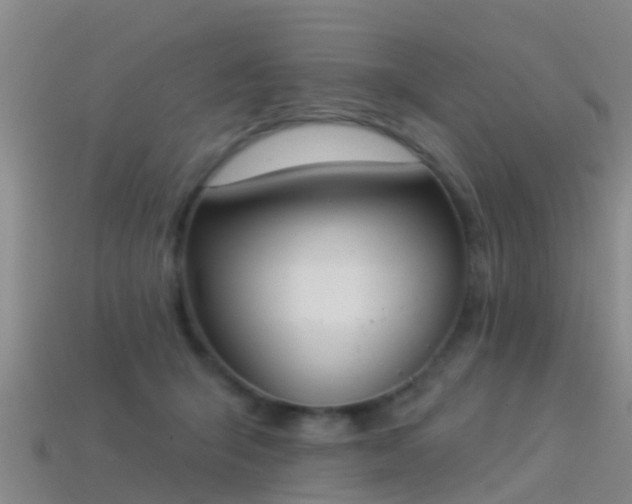 X0000114160415200910151611