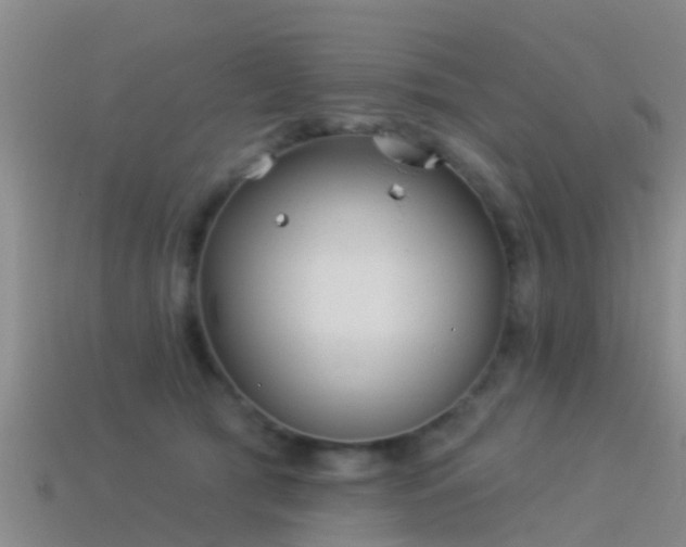 X0000114160417200910151611