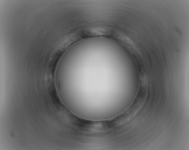 X0000114160418200910151611