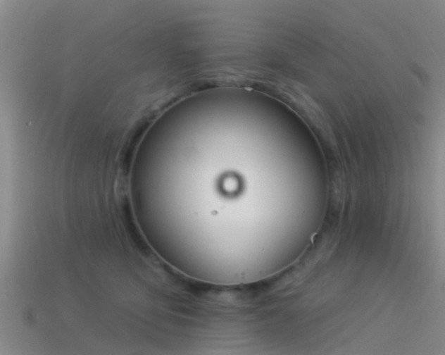 X0000114160419200910151611