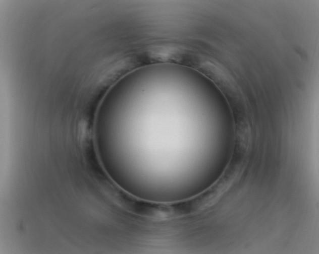 X0000114160420200910151611