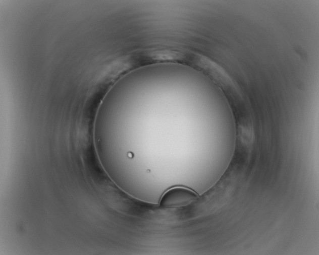 X0000114160422200910151611