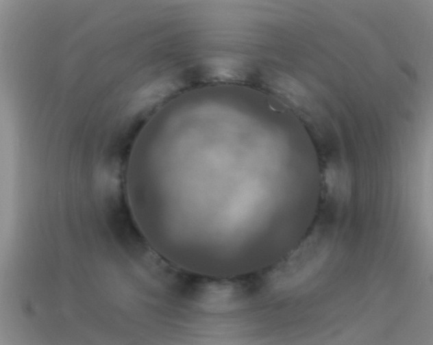 X0000114160423200910151611