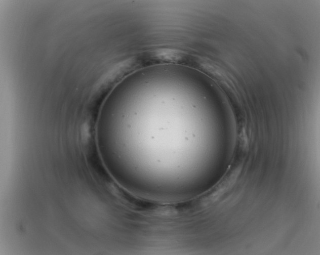 X0000114160424200910151611