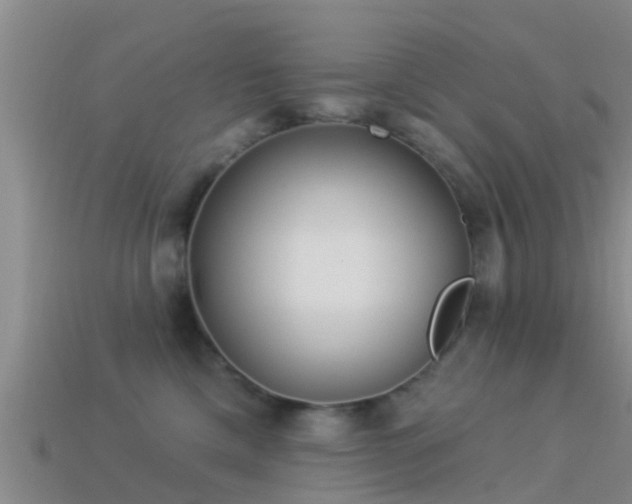 X0000114160425200910151611