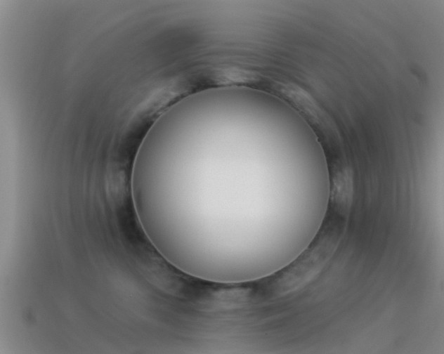 X0000114160426200910151611